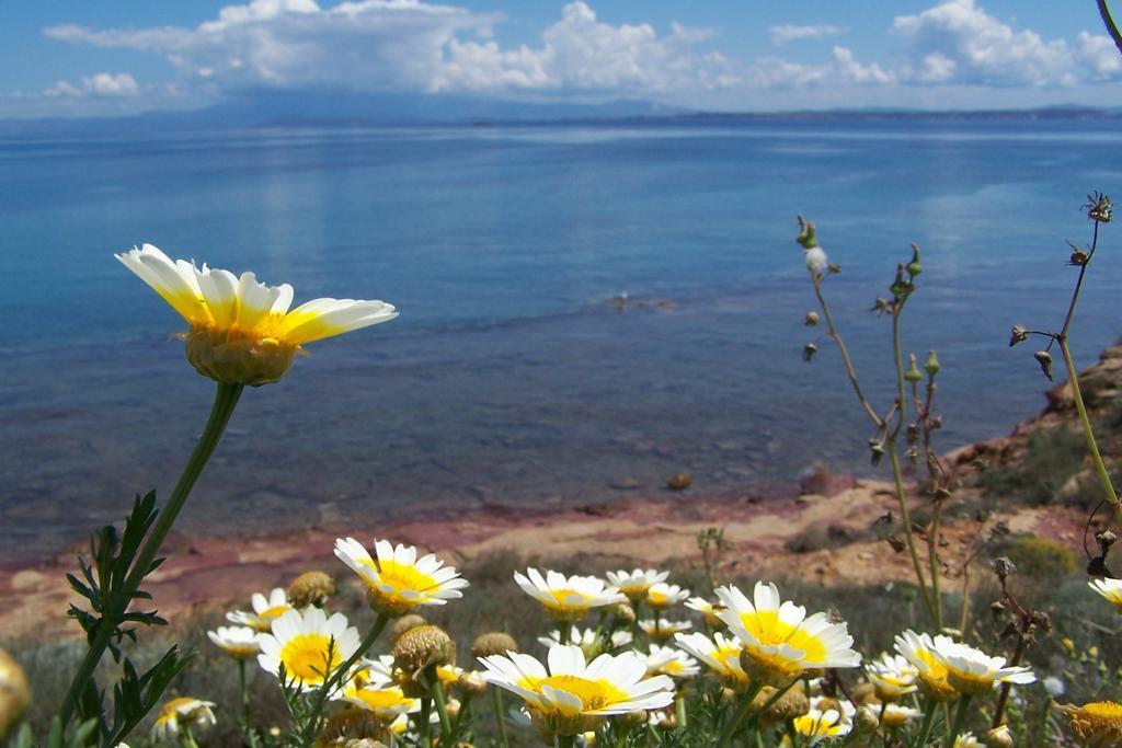 Aegean Bliss Residences Karfas Zewnętrze zdjęcie