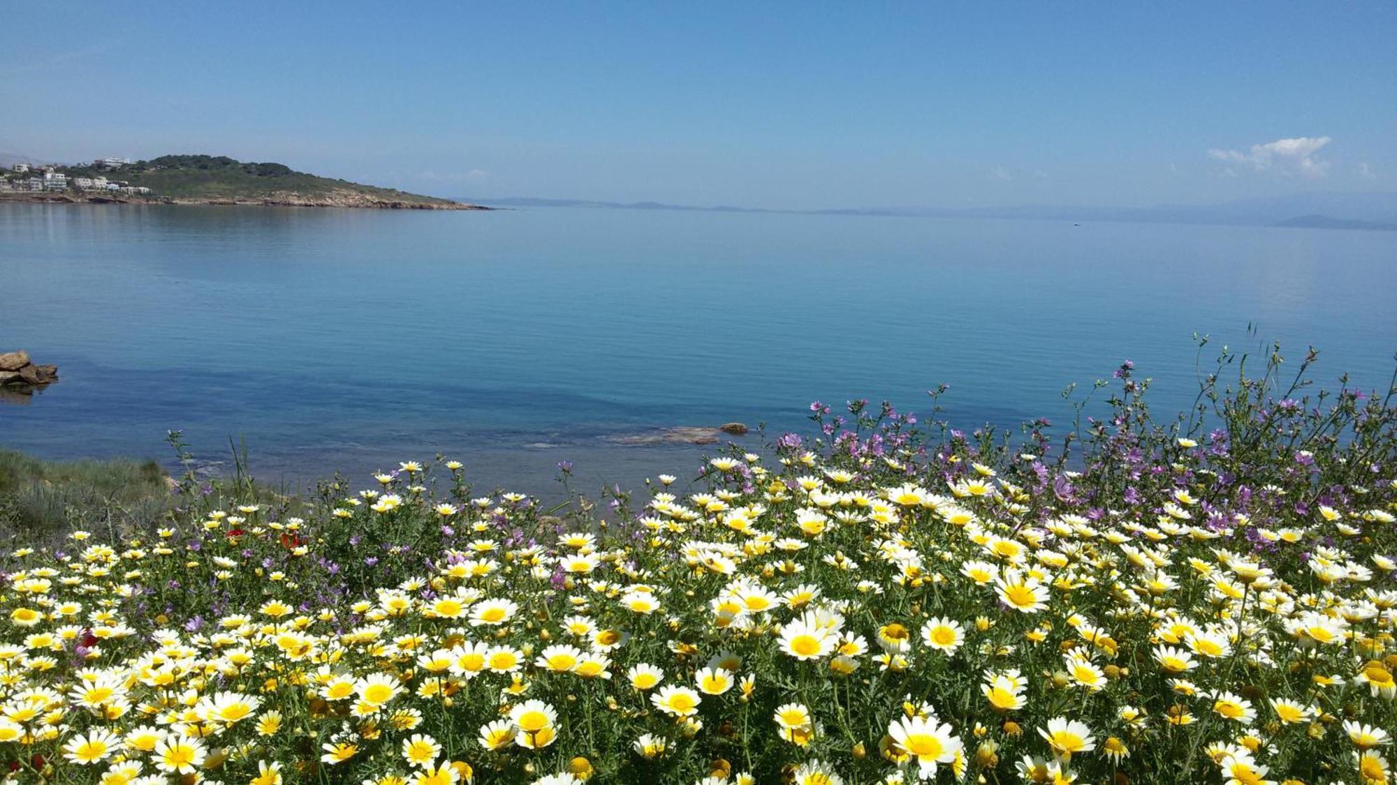 Aegean Bliss Residences Karfas Zewnętrze zdjęcie